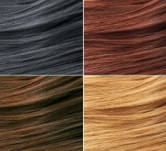 Hair Colour